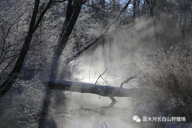 星战前线2