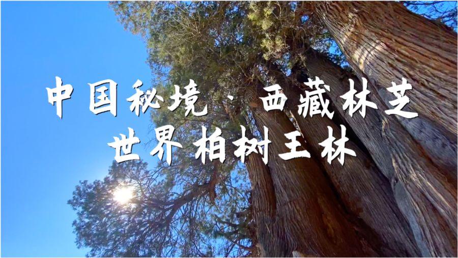 2023年河东区20项民心工程涉及的41项具体工作全面完成
